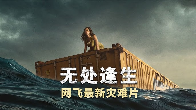 Netflix 无处逢生 Nowhere (2023) 4K 高码 内封多国语 豆瓣: 7.0